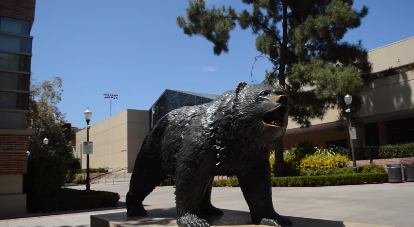Bruin bear statue in Bruin plaza