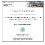 Defense Exam: Vera Smirnova Koutnik