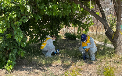One Year After LA Fires, UCLA Civil & Environmental Engineers Leads Post-Fire Recovery and Mitigation Breakthroughs