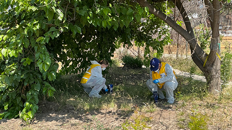 One Year After LA-fire-2026